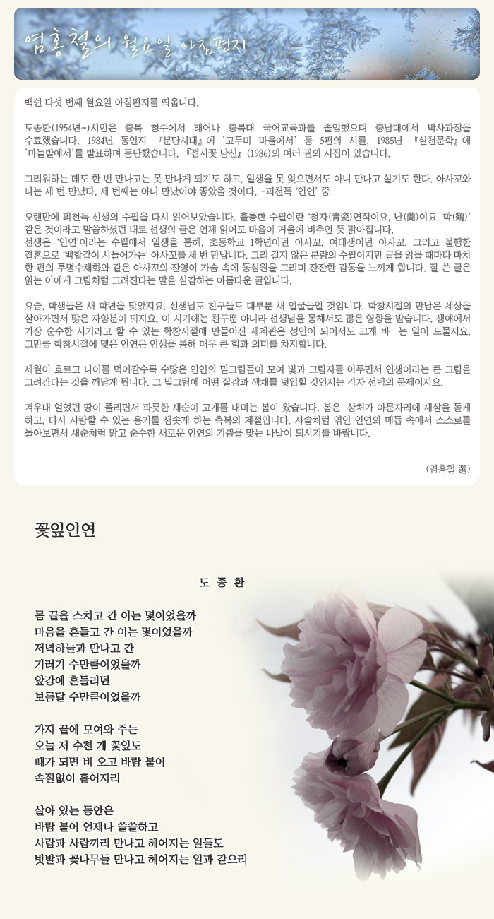 꽃잎 이미지