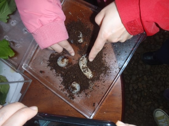 PA280275.JPG?type=w3