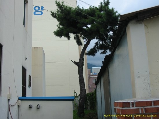 마산교차로 이미지