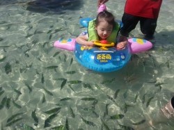 20130127_104031.jpg?type=w3