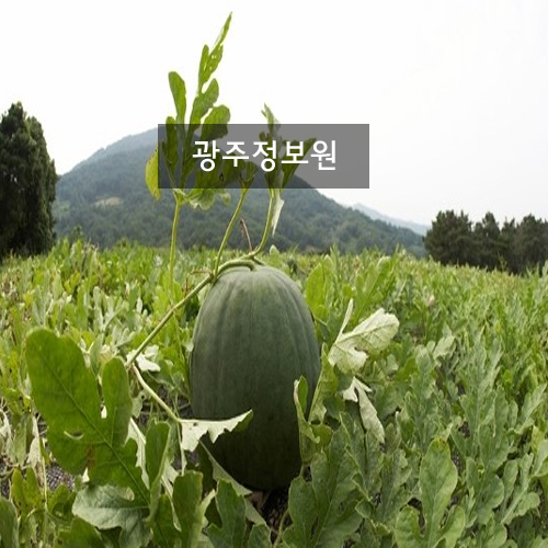 My Image 10