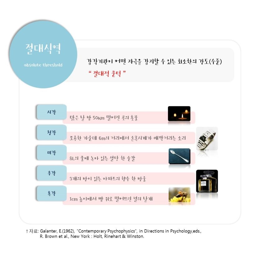 대식 이미지