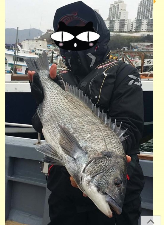 %B2%D9%B9%CC%B1%E2_%B2%D9%B9%CC%B1%E2_%C6%F7%B8%CB%BA%AF%C8%AF_Screenshot_2015-01-31-13-34-01.jpg?type=w3