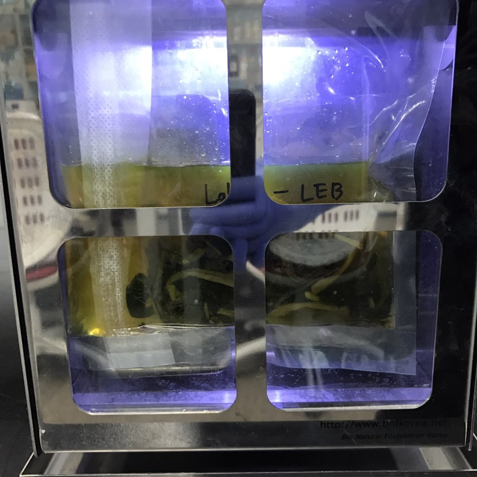 리스테리아 모노사이토제네스(Listeria monocytogenes) 식품공전 시험법 : 네이버 블로그