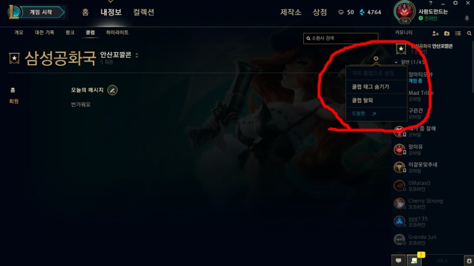 롤 클럽 태그 설정과 닉네임 네이버 블로그