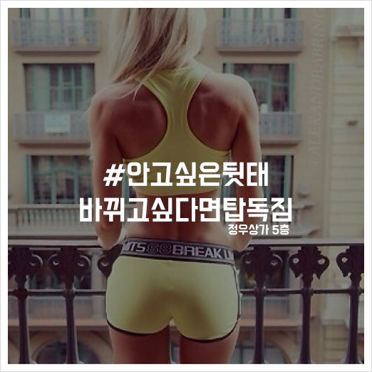 탑독짐 이미지