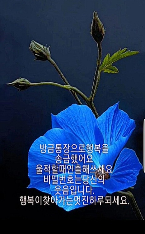 오늘선물 이미지