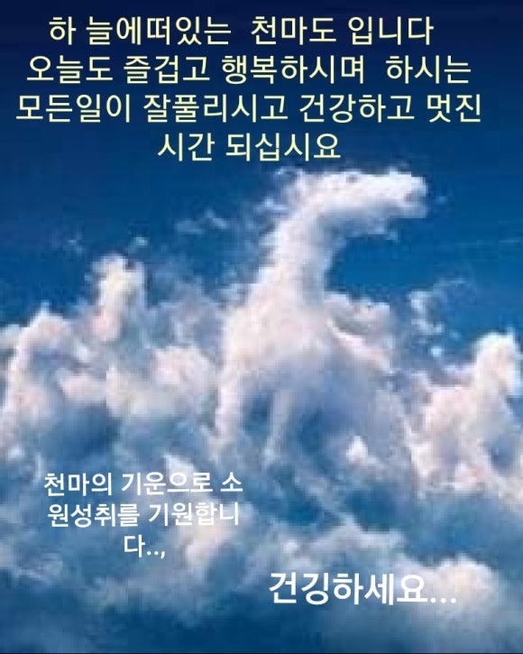 오늘선물 이미지