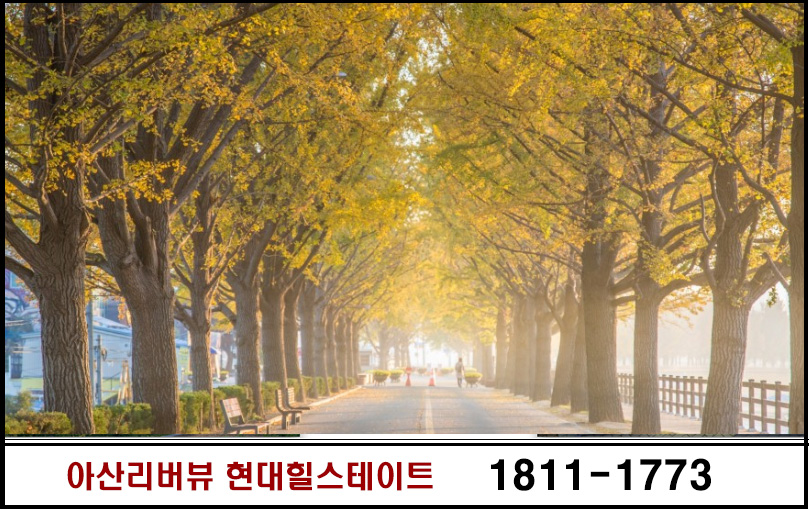 영광이티에스 이미지