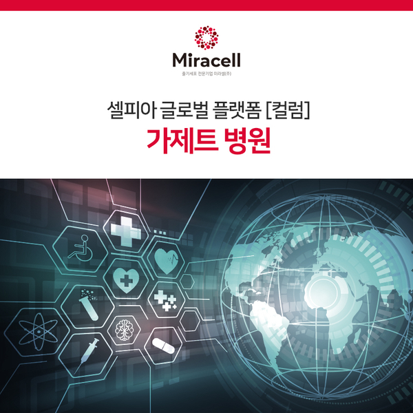 가제트병원 이미지