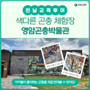 우리 아이와 함께 떠나는 생태체험 여행! '영암곤충박물관'
