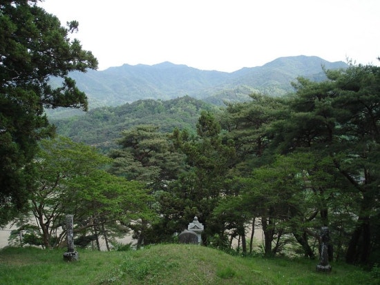 result_2008_4_1_21_28_54_578_23-tklim1.jpg?type=w3