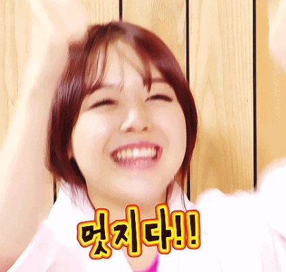 연예인 동물관상